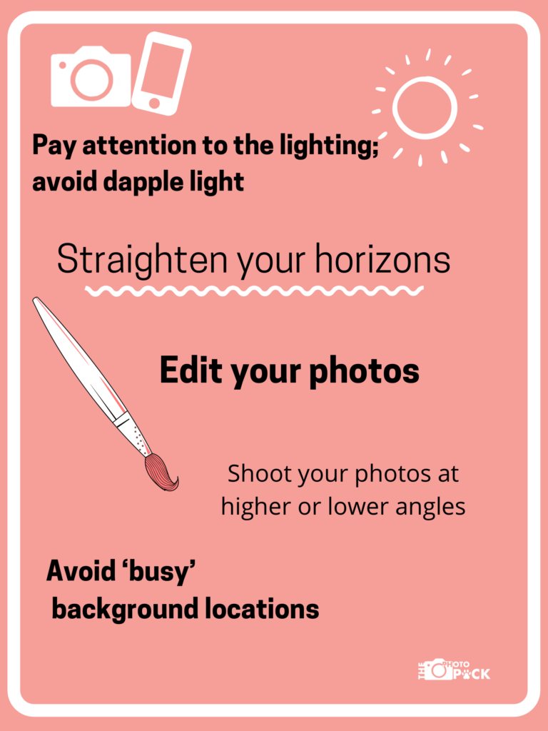 Pinterest Flyer how to improve your photography